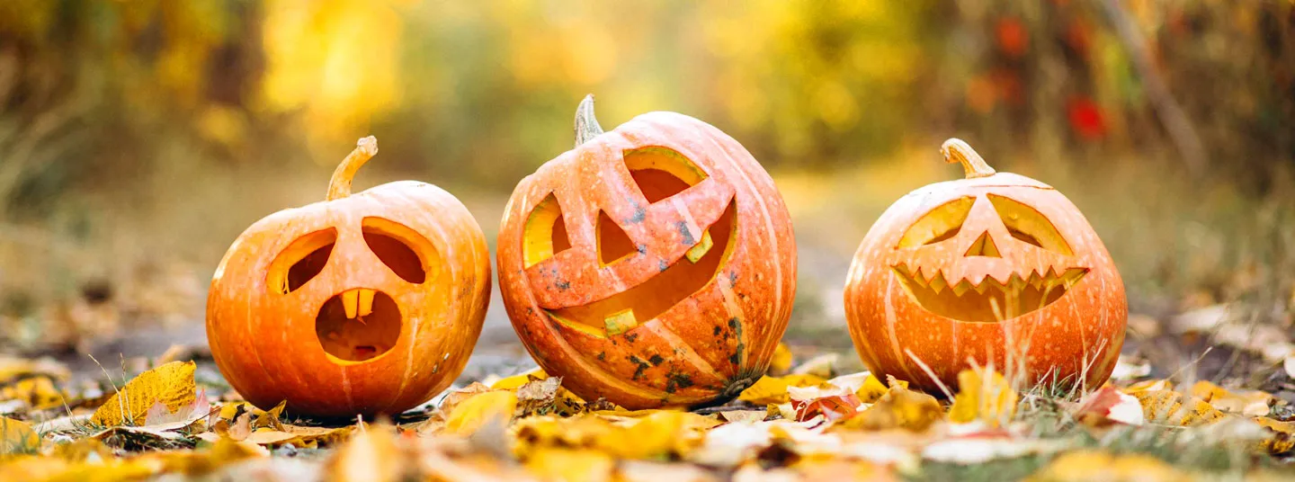 Halloween i Køge og omegn | Oplevelser og arrangementer